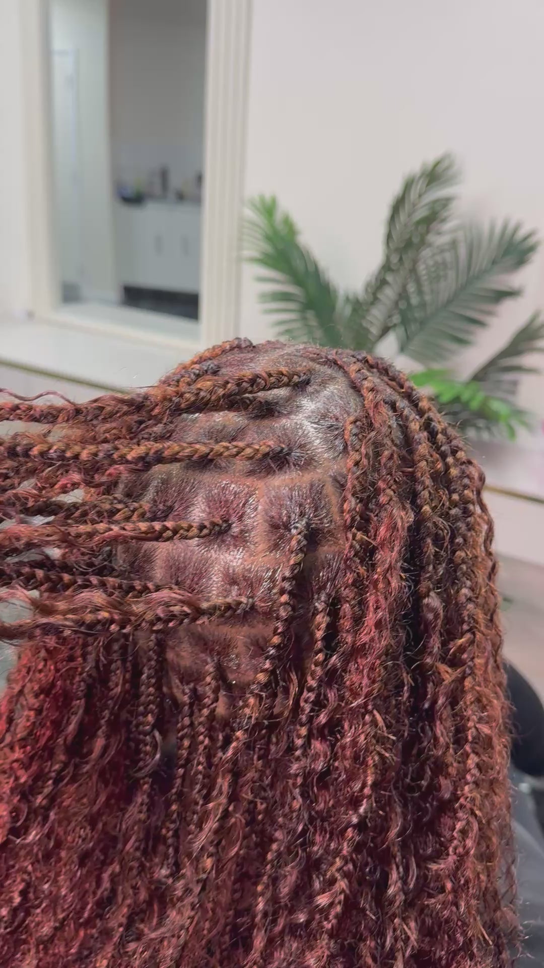 Boho Braids / Twists